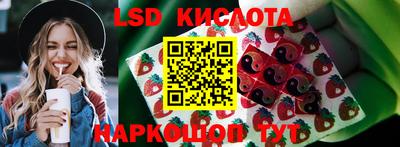 шишки Абинск